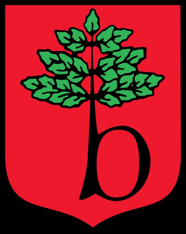 Urząd Miejski w Brwinowie